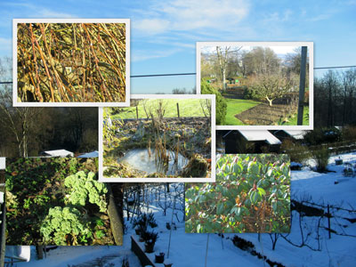 Garten-Januar-2009.jpg